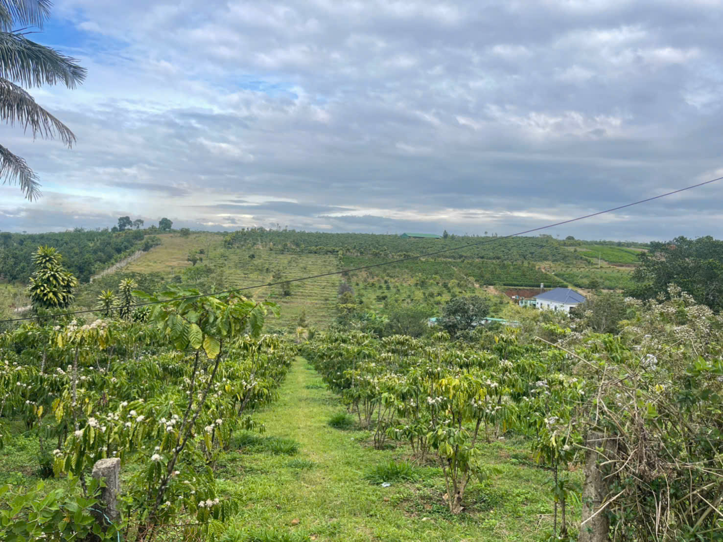 Đất nền Bảo Lộc