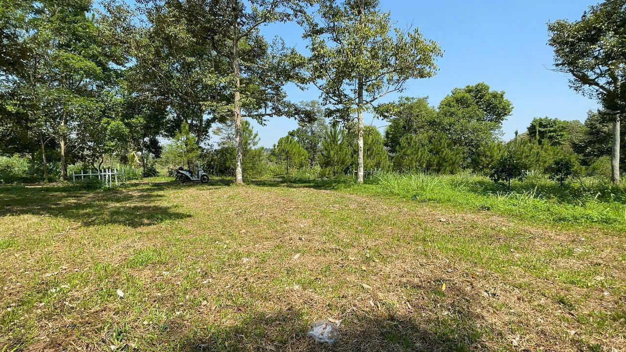 Đất Nền Bảo Lộc