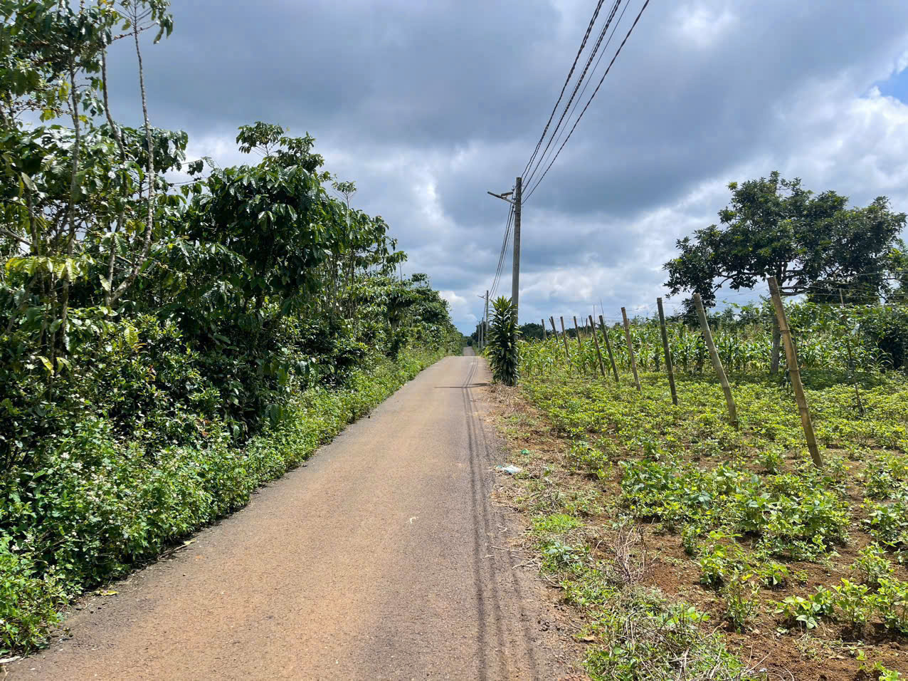 Đất Nền Bảo Lộc