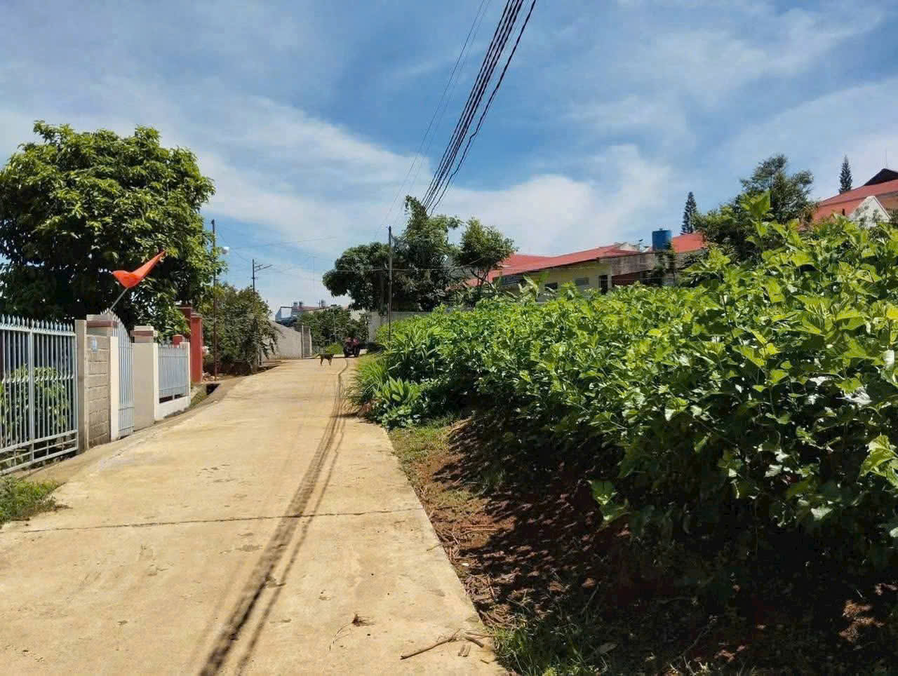 Đất nền Bảo Lộc