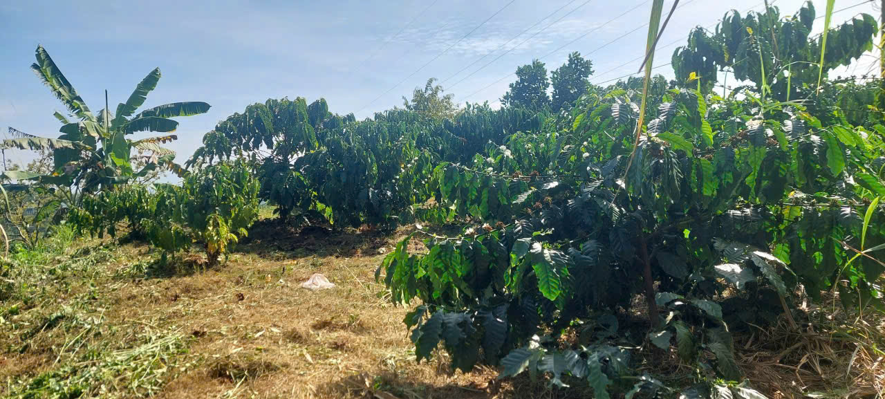 Đất Nền Bảo Lộc