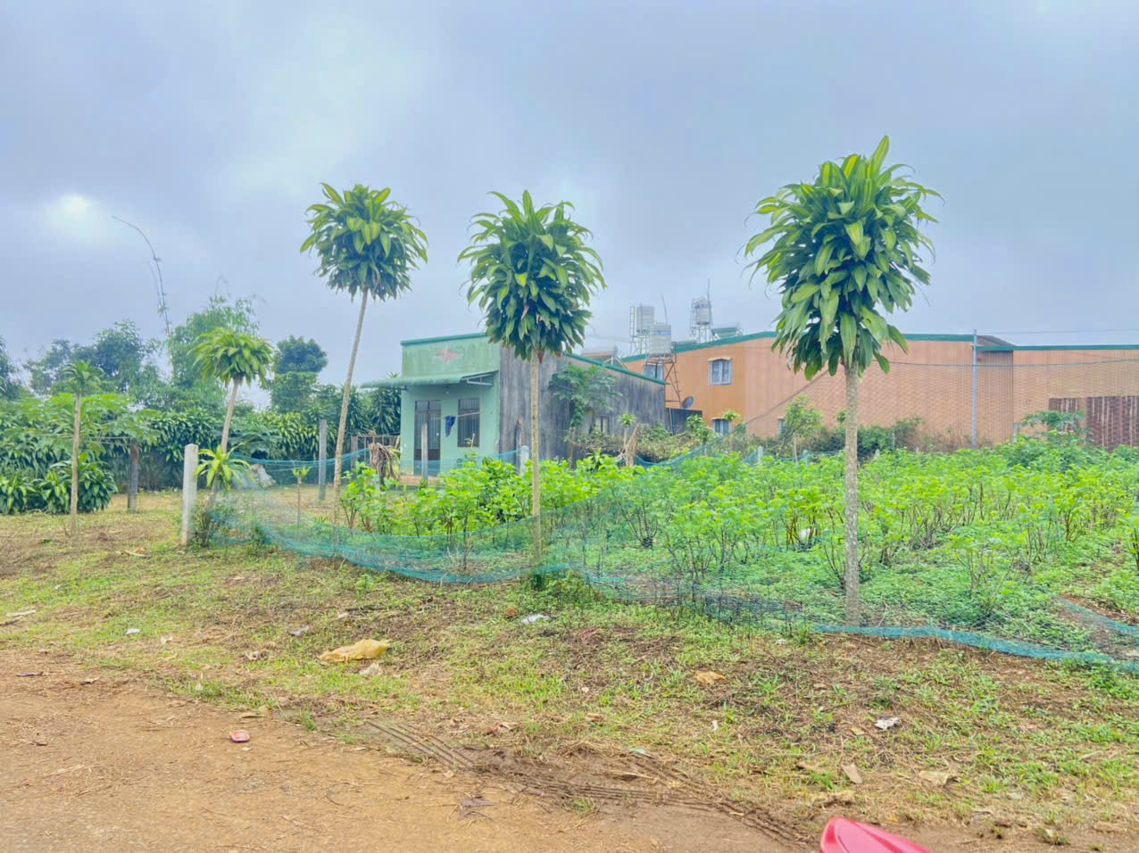 Đất nền Bảo Lộc