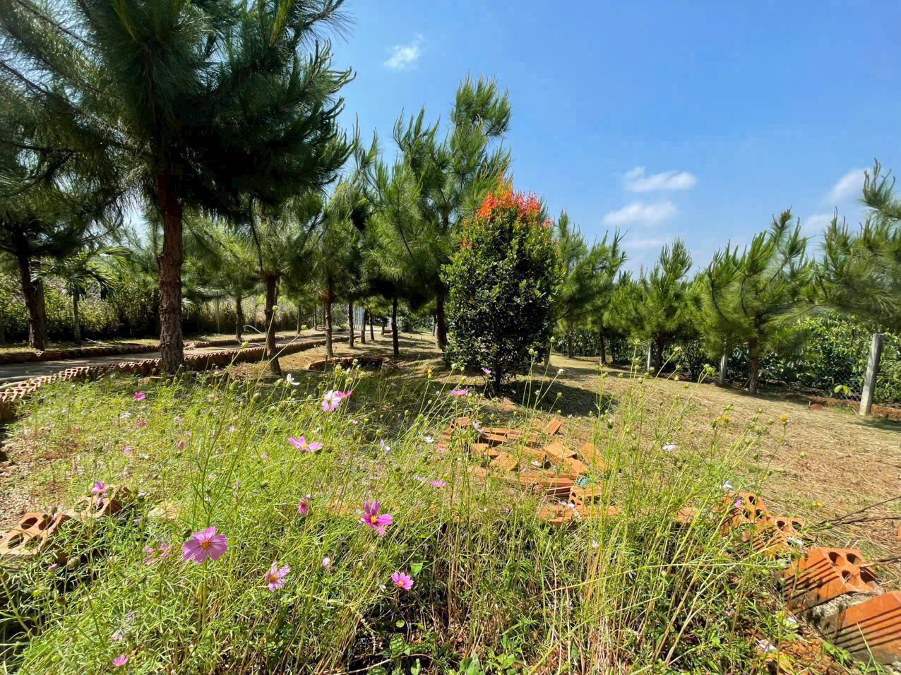 Đất Nền Bảo Lộc