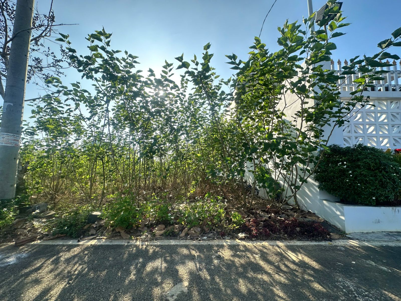 Đất Nền Bảo Lộc