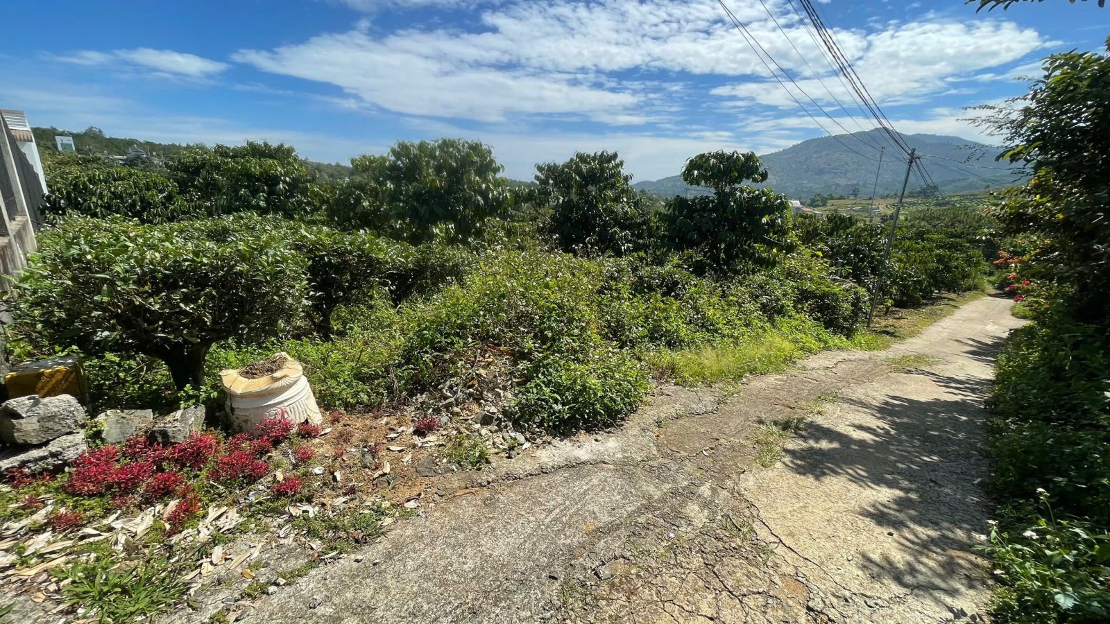 Đất nền Bảo Lộc