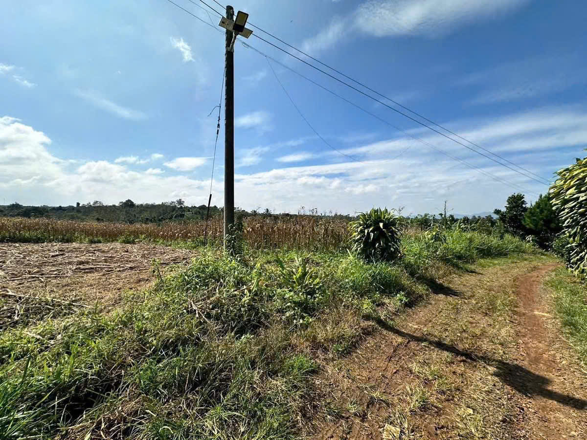 Đất Nền Bảo Lộc