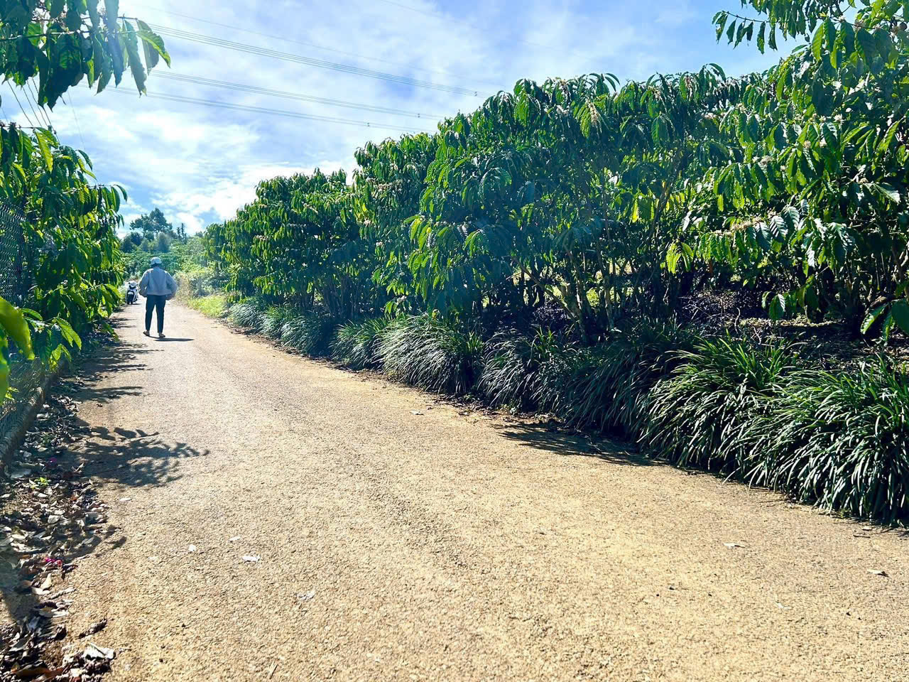 Đất nền Bảo Lộc