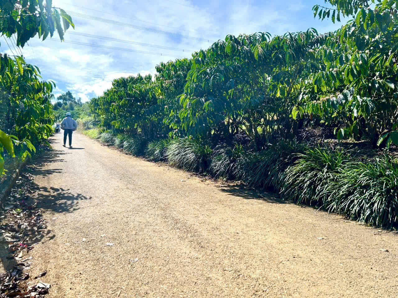 Đất Nền Bảo Lộc