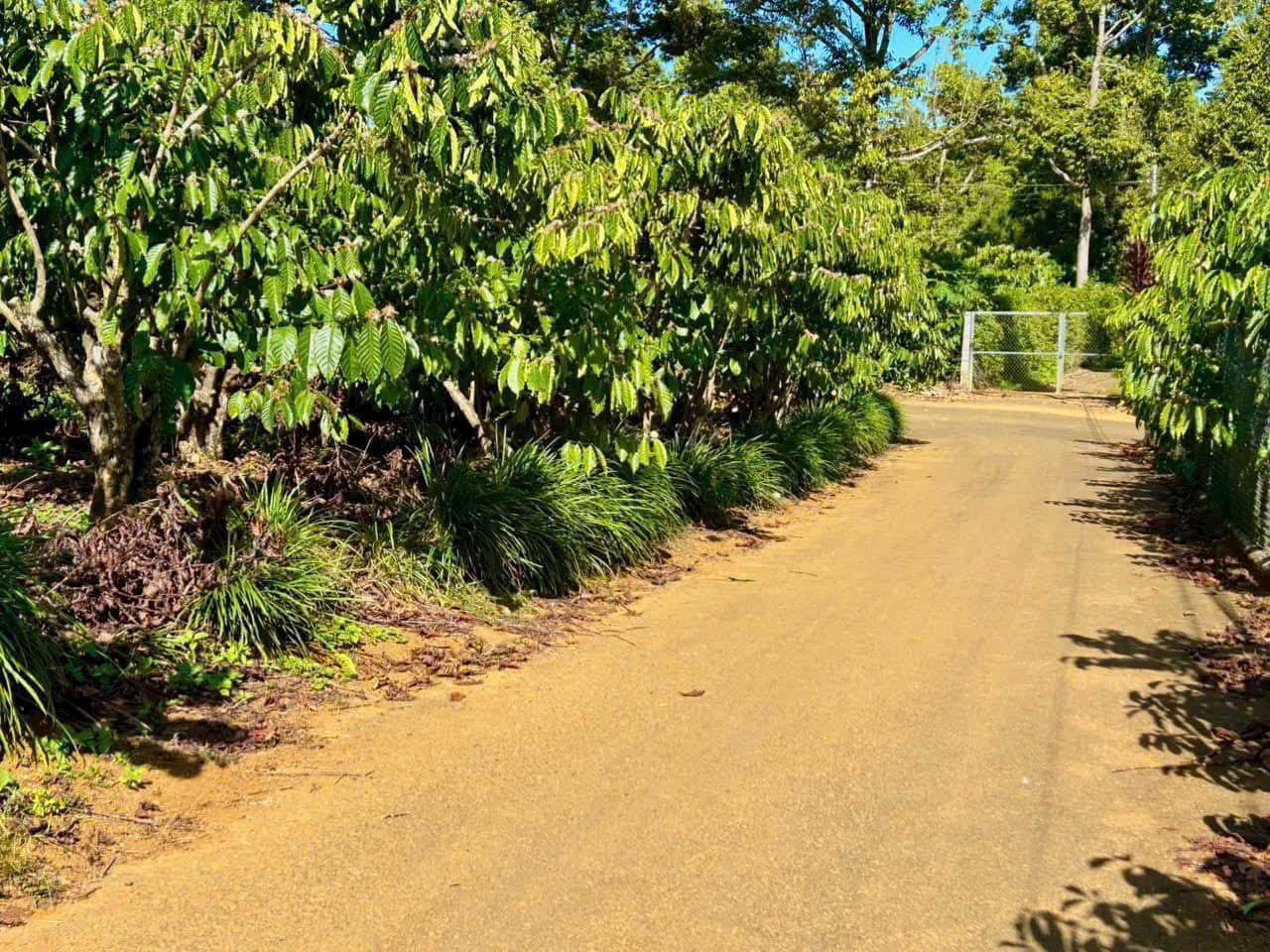 Đất Nền Bảo Lộc