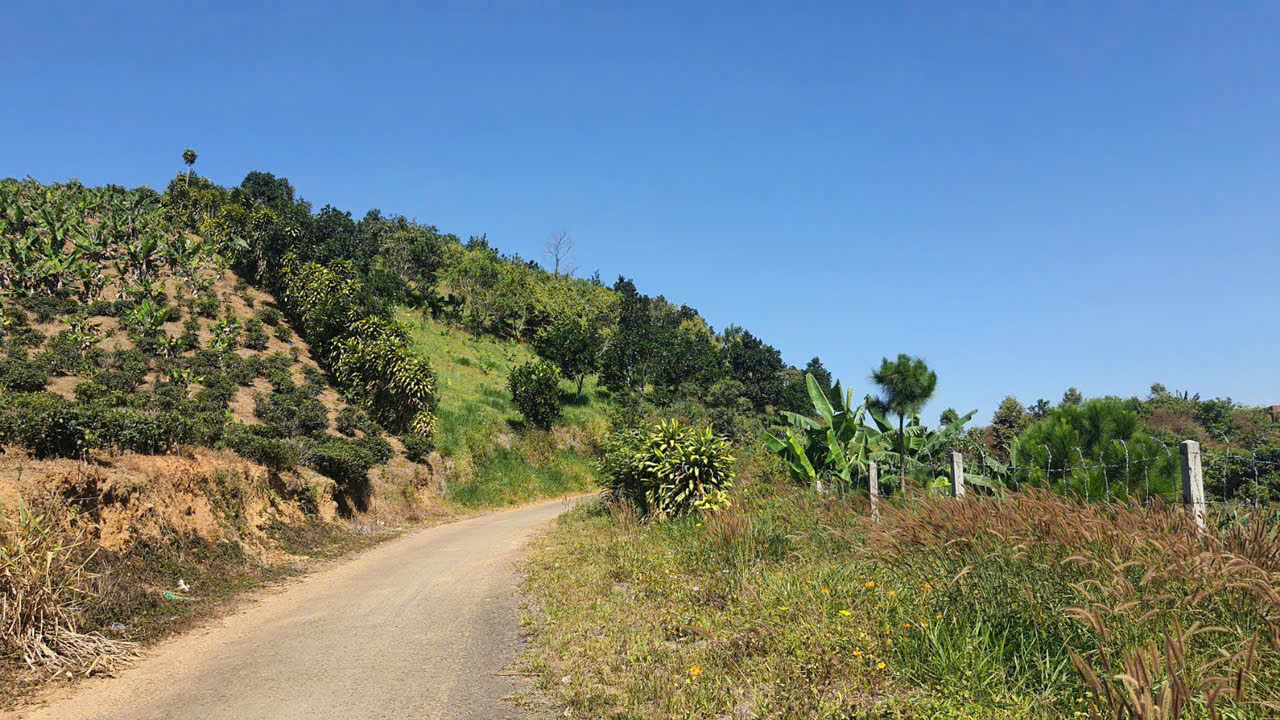 Đất Nền Bảo Lộc