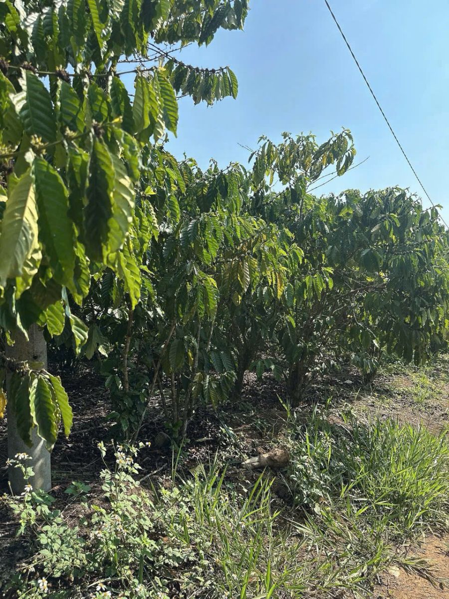 Đất Nền Bảo Lộc