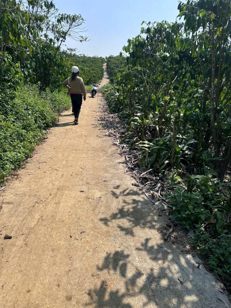 Đất Nền Bảo Lộc