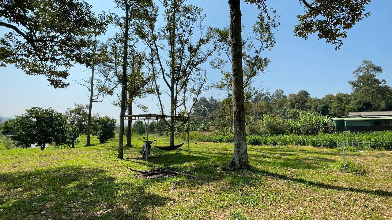 Đất Nền Bảo Lộc